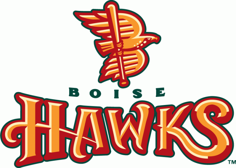 Boise Hawks iron ons